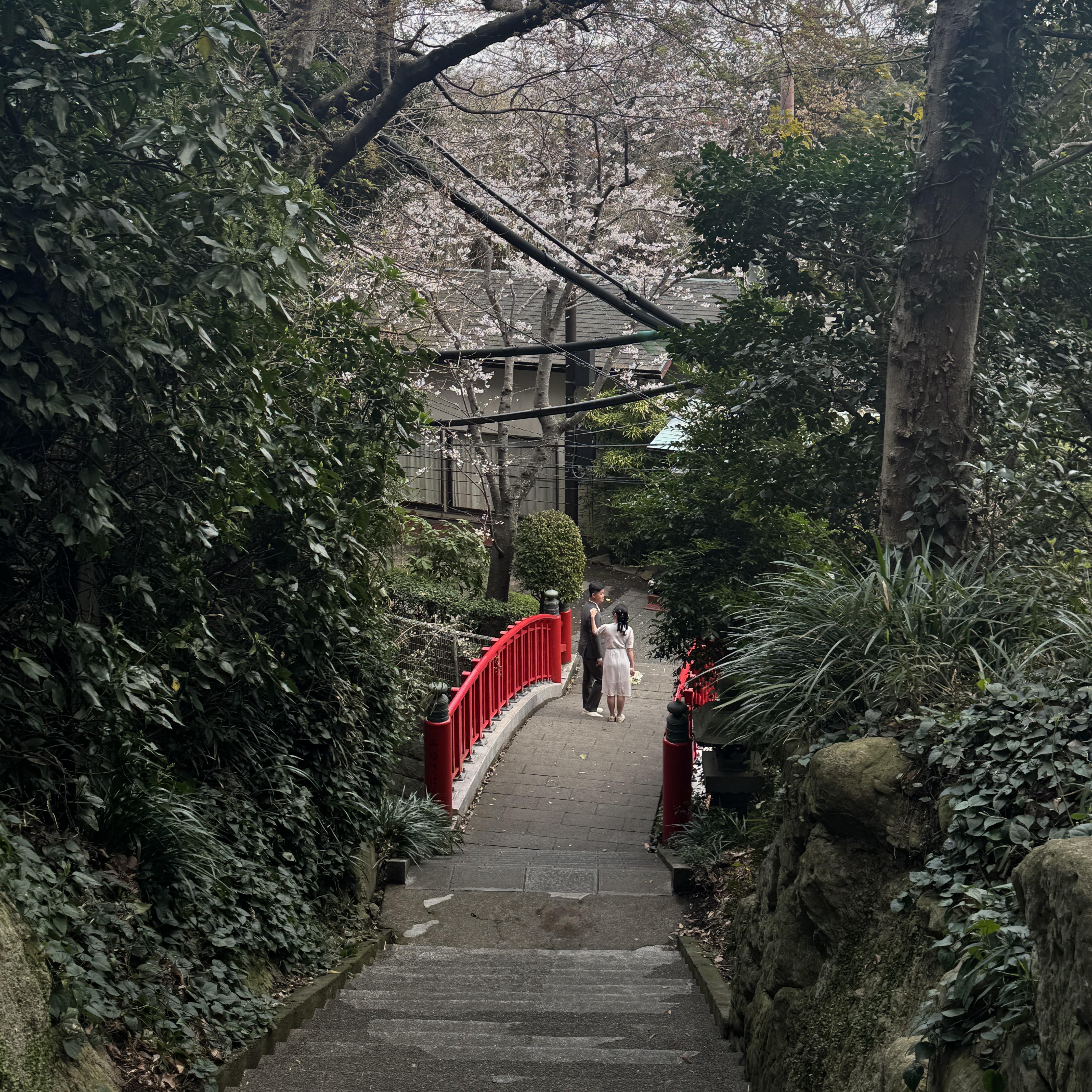 kamakura, japan (2026)